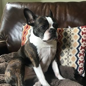 Meet your Posher, Paula